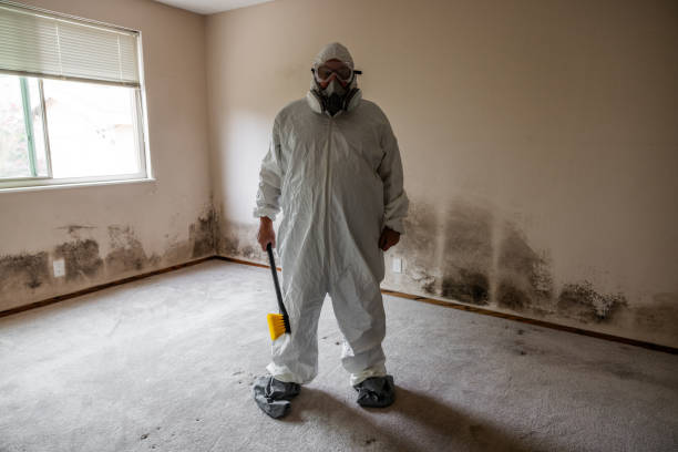Blakely, PA Mold Remediation Company